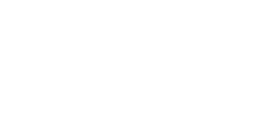 Stronzo_web_logo